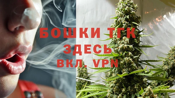 стаф Баксан