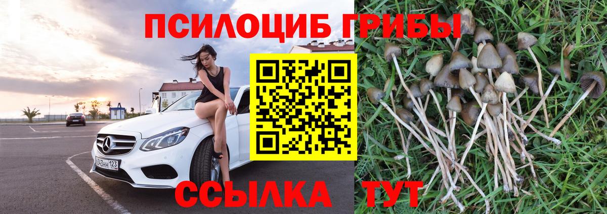 Псилоцибиновые грибы MAGIC MUSHROOMS  Вход с VPN  Нижний Тагил 